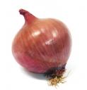 red-onion-pg-5.jpg